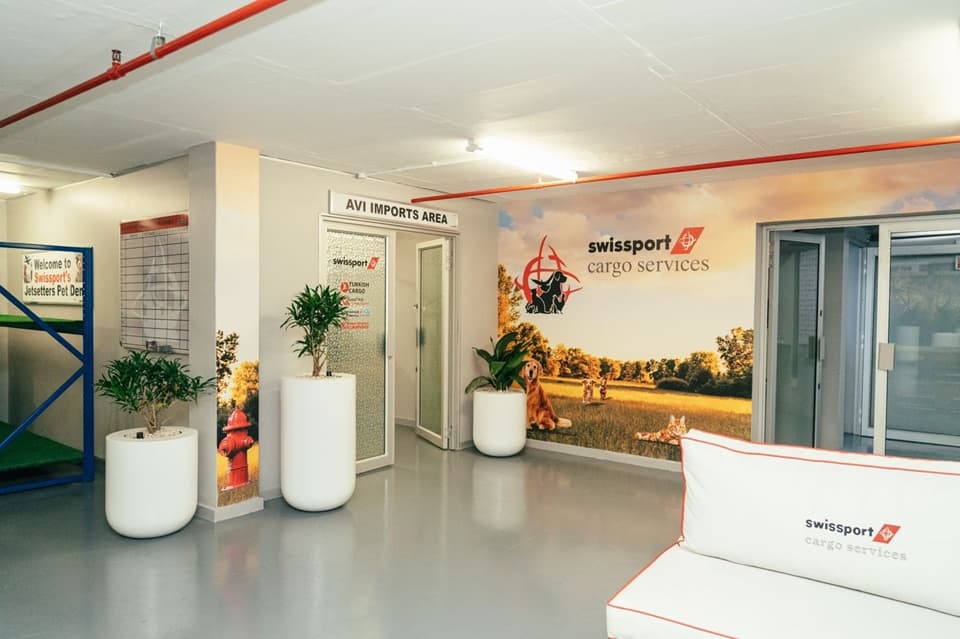 Air Cargo Sector Navigates Complexities of Live Animal Transport