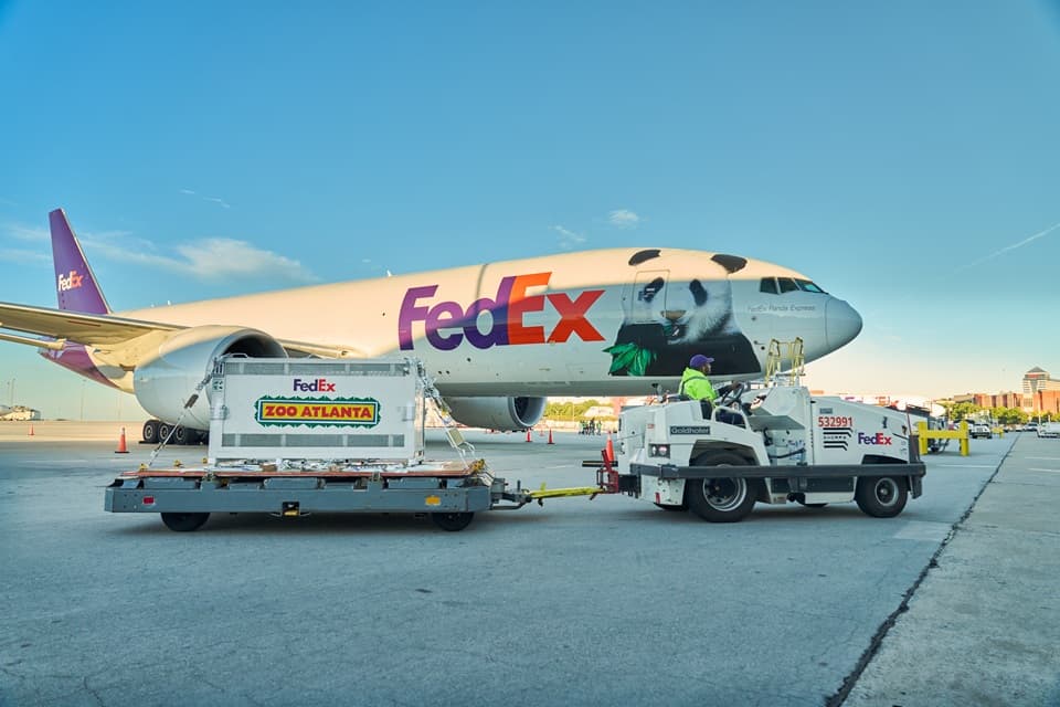 FedEx Transports Giant Pandas from China to Atlanta on Dedicated Freighter