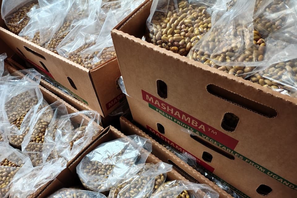 Ugandan Perishables Face Air Cargo Capacity Constraints from Entebbe