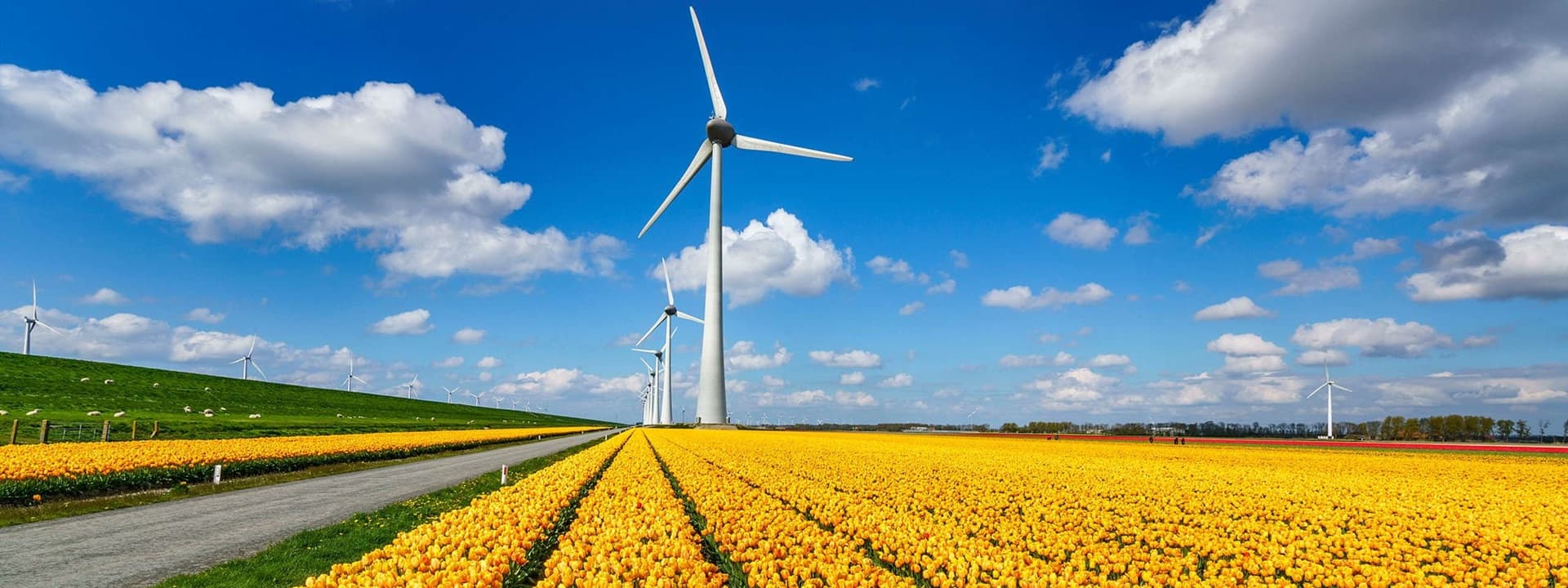 Dutch Onshore Wind Project Delays Impact Breakbulk Logistics