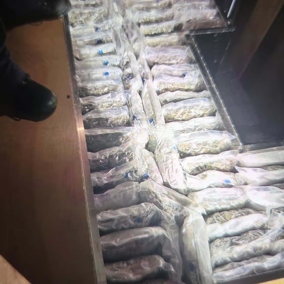 HARC Team Seizes 518 kg of Cannabis in Van from Canada at Antwerp Port