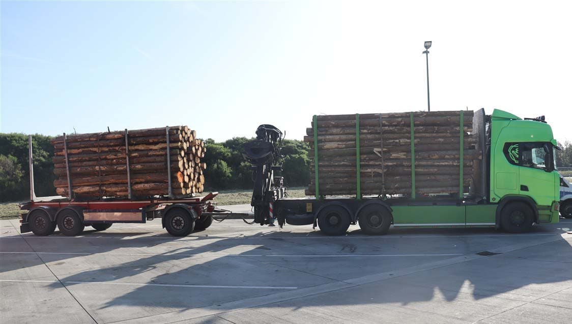 German Police Intercept Overloaded Polish Timber Truck with Faulty Brakes