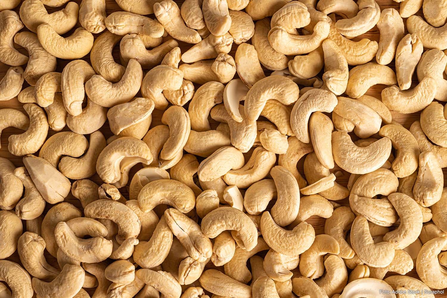 Carrier Not Liable for Cashew Nut Fraud in France, Court Rules