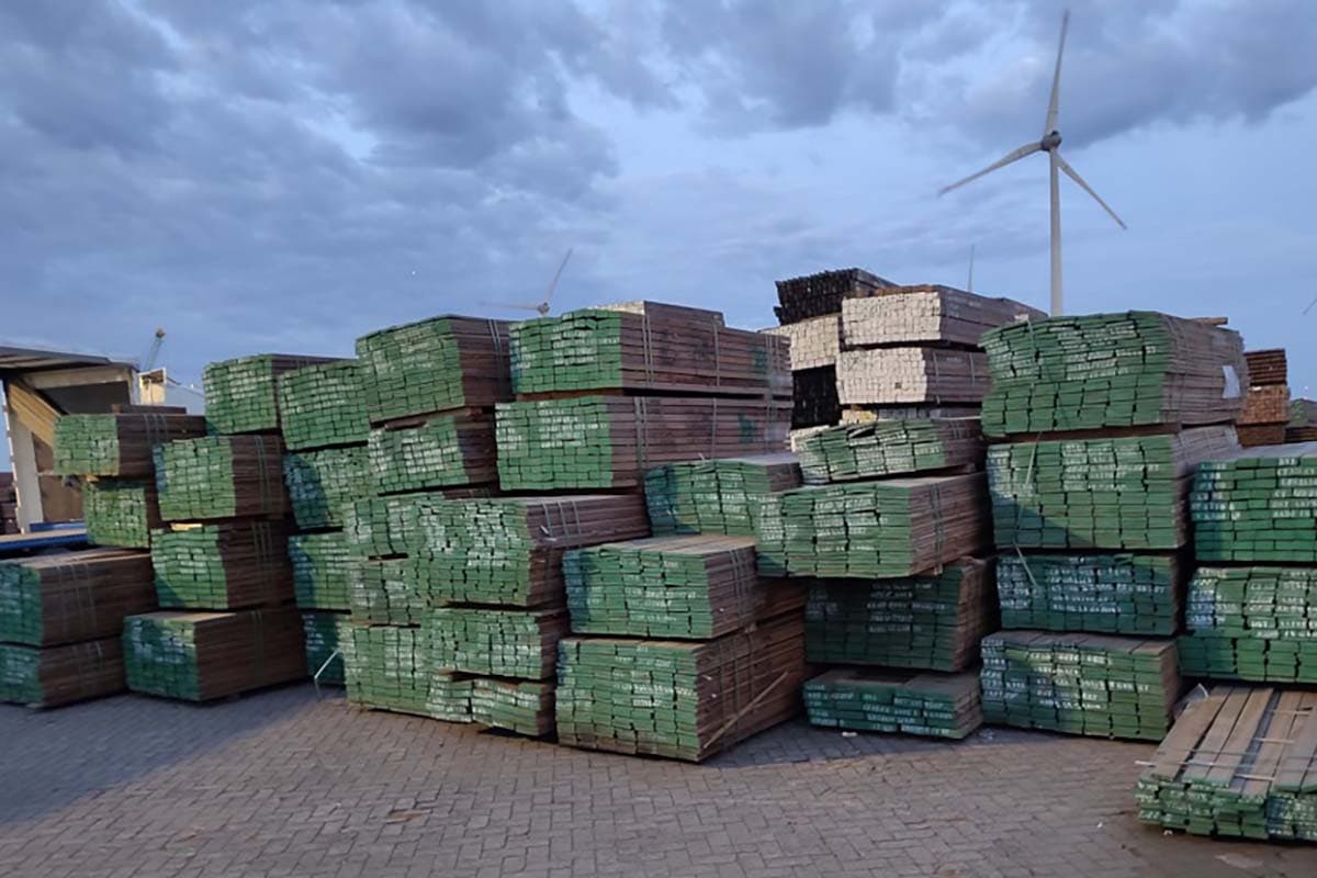 Dutch Authorities Seize 375 Tons of Illegally Sourced Tropical Hardwood