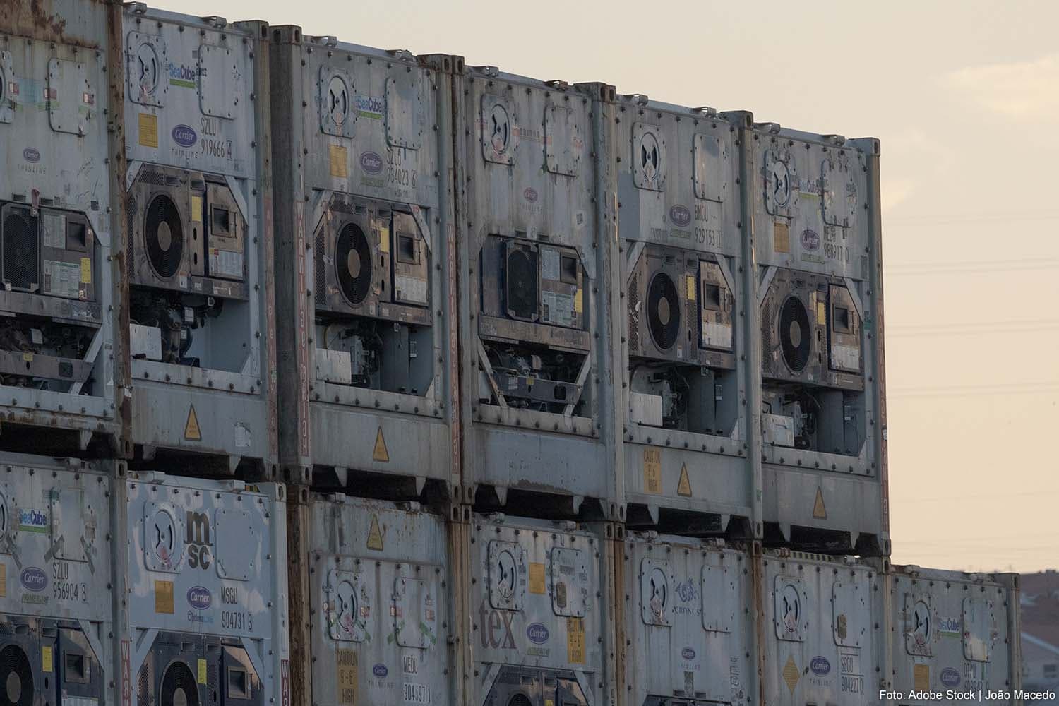 Netherlands Sees Significant Increase in Reefer Container Imports Over Ten Years