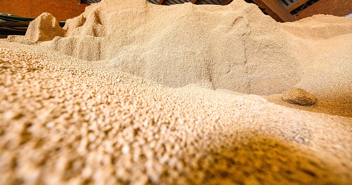 Fertilizer Shipments Through Strait of Hormuz Recover Post-Conflict
