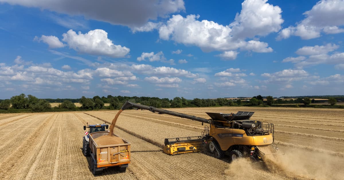 Global Crop Prices See Largest Monthly Increase Since 2012 Amid Rising Transport Costs