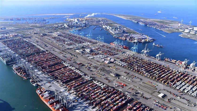 MSC and Hutchison Restart Negotiations for Rotterdam Omega Terminal