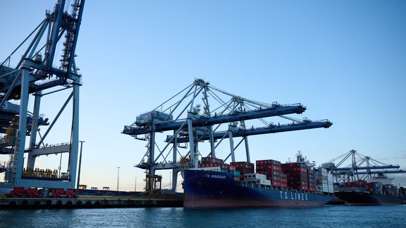 New Zealand's Major Container Ports Report Strong Financial Performance for FY26
